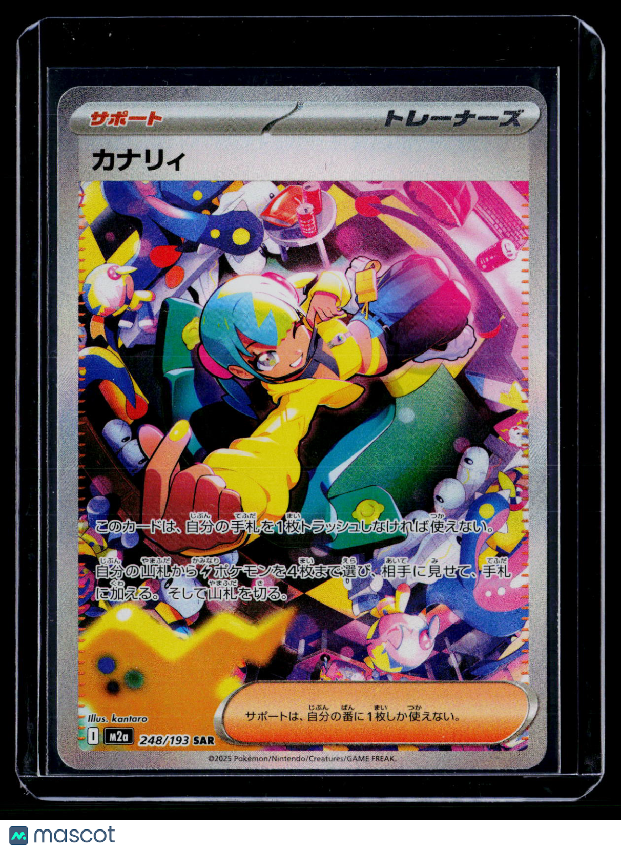 Pokemon Canari Japanese 248 193