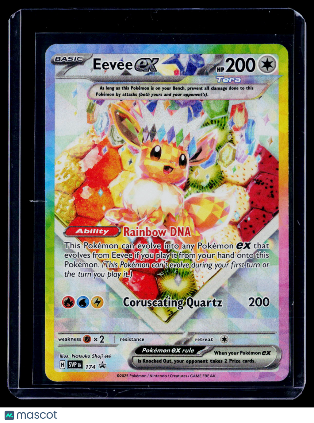 Pokemon Eevee EX 174 Promo