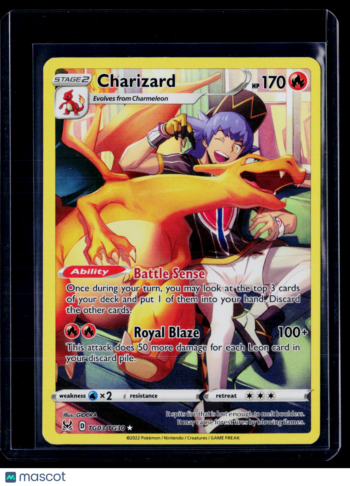 Pokemon Charizard TG03 TG30