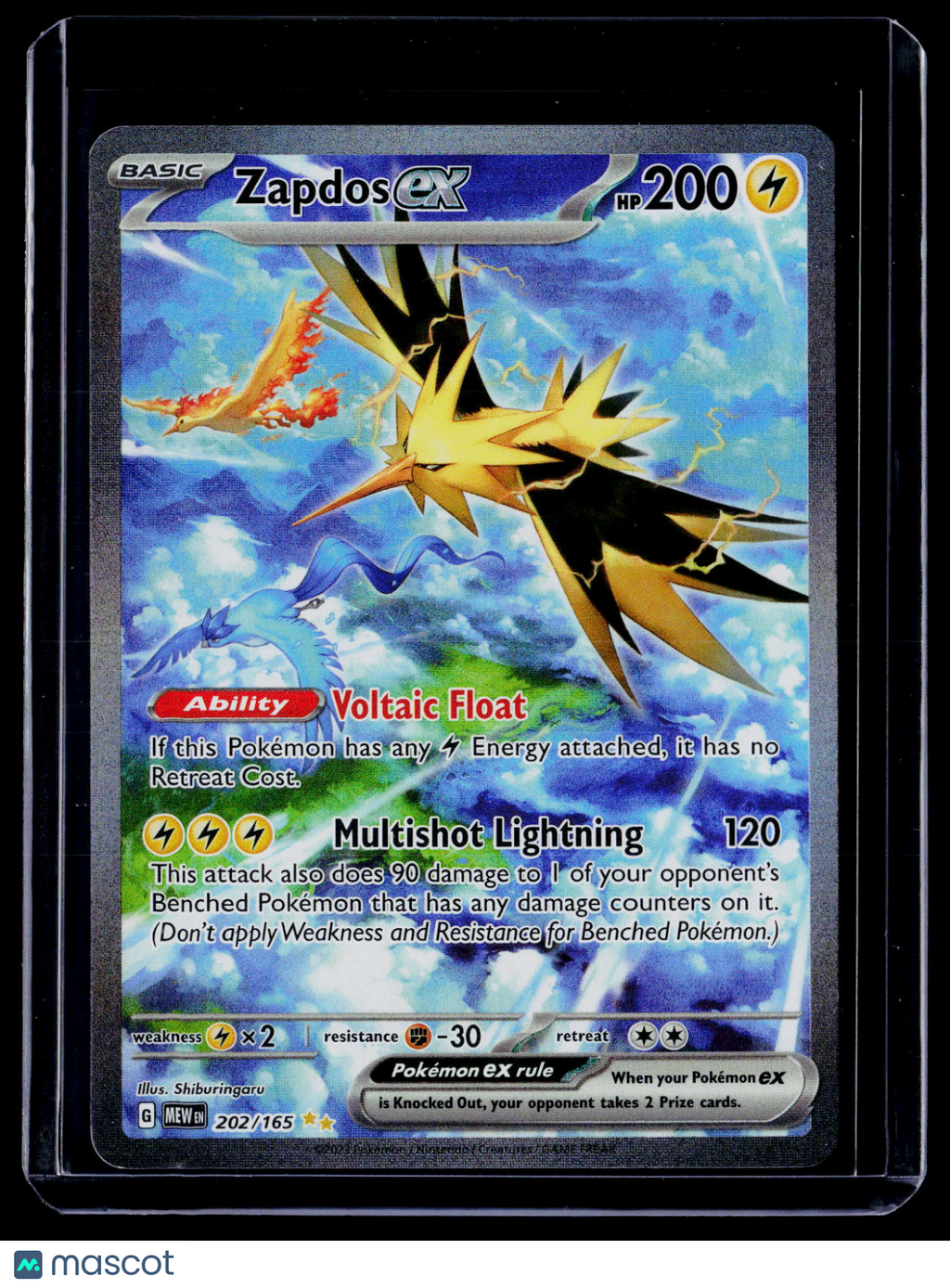 Pokemon Zapdos EX 202/165