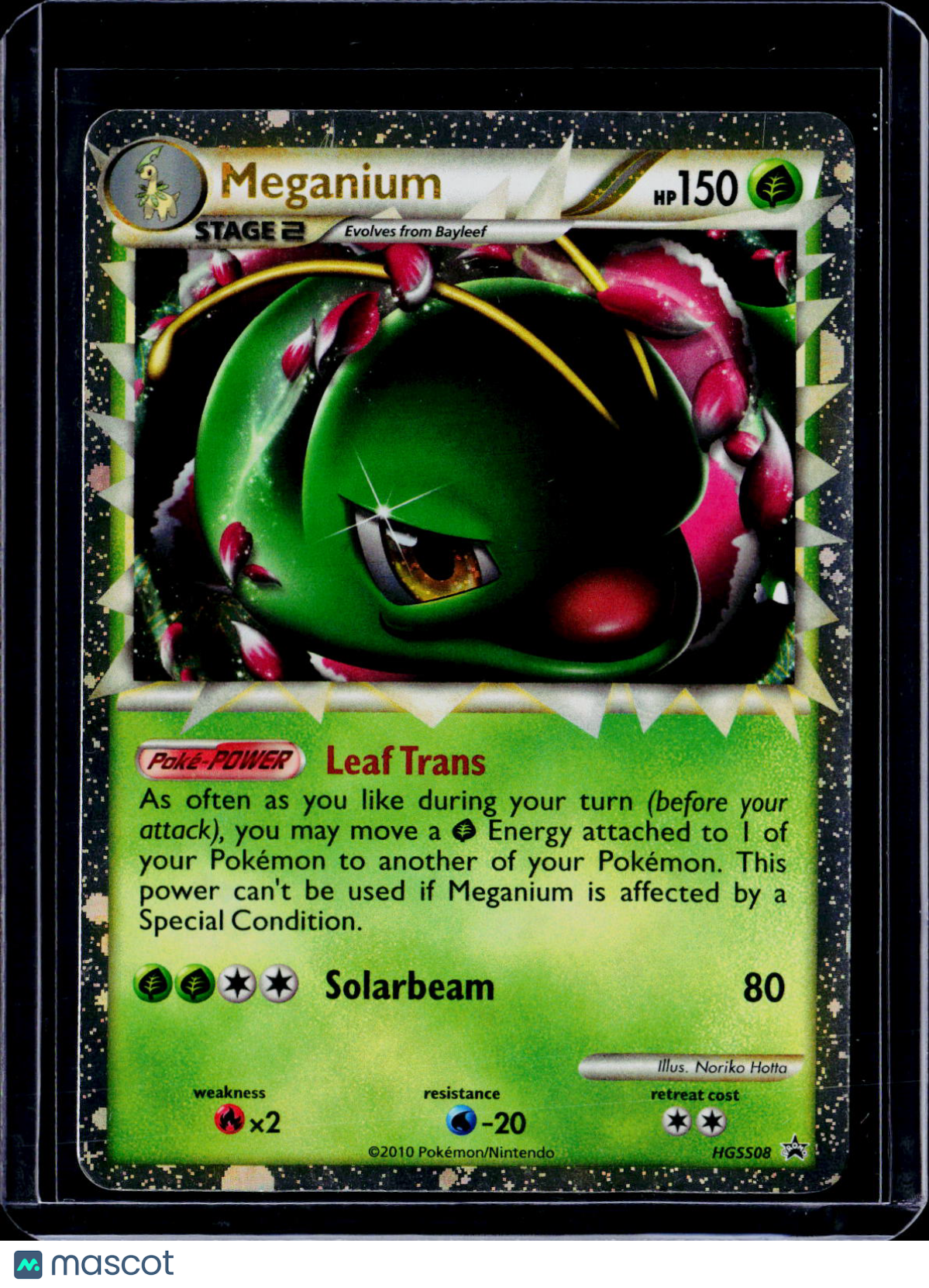 Pokemon Meganium HG5508 Promo