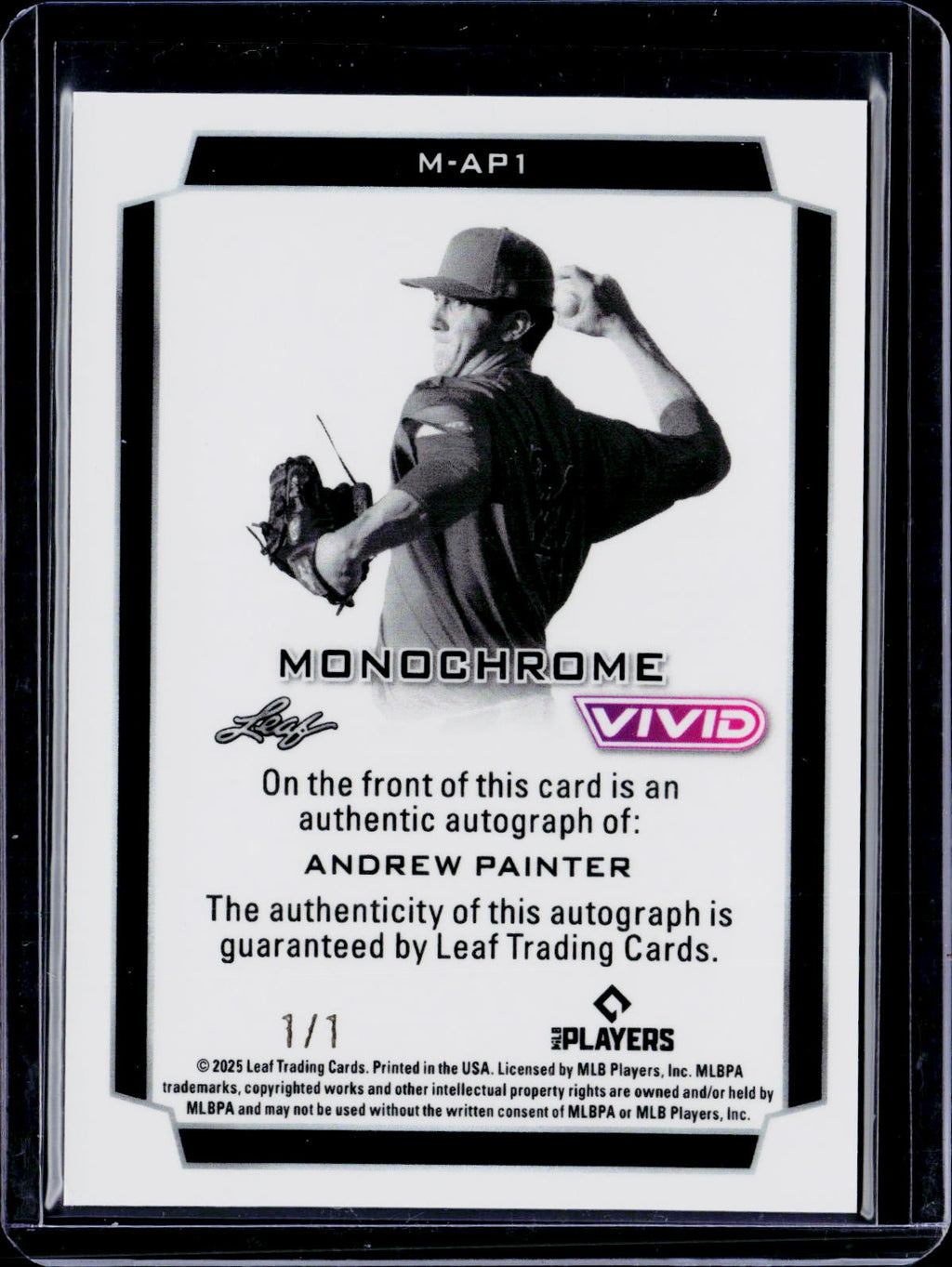 2025 Leaf Vivid Andrew Painter Monochrome Auto 1/1