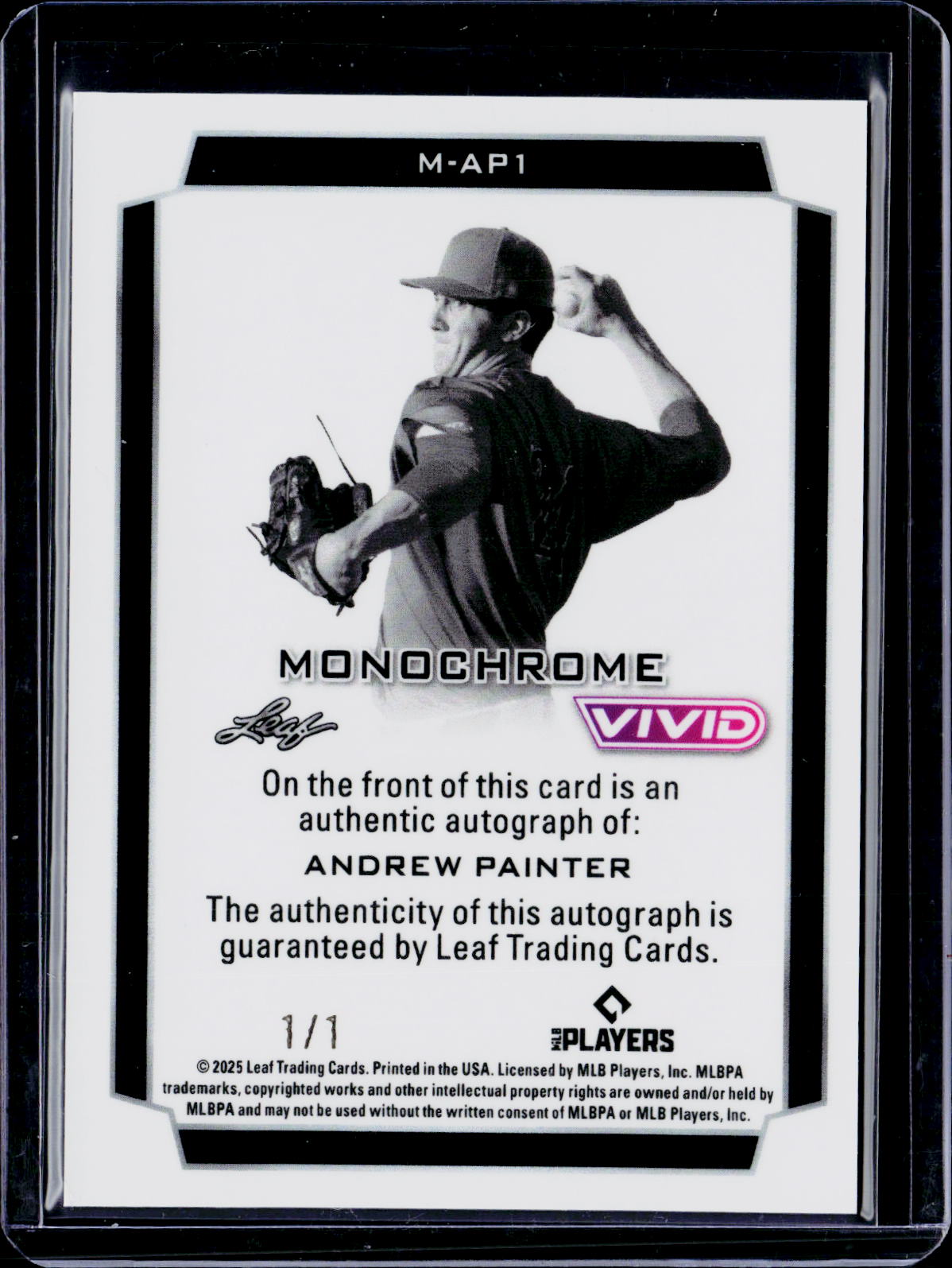 2025 Leaf Vivid Andrew Painter Monochrome Auto 1/1