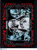 2024 Prizm Draft Magic Johnson Tiger Stripe Variation