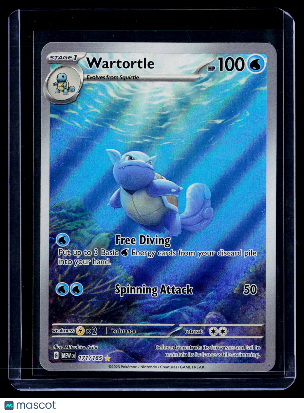 Pokemon Wartortle 171 156