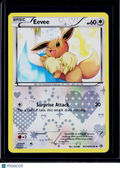 Eevee RC14/RC25