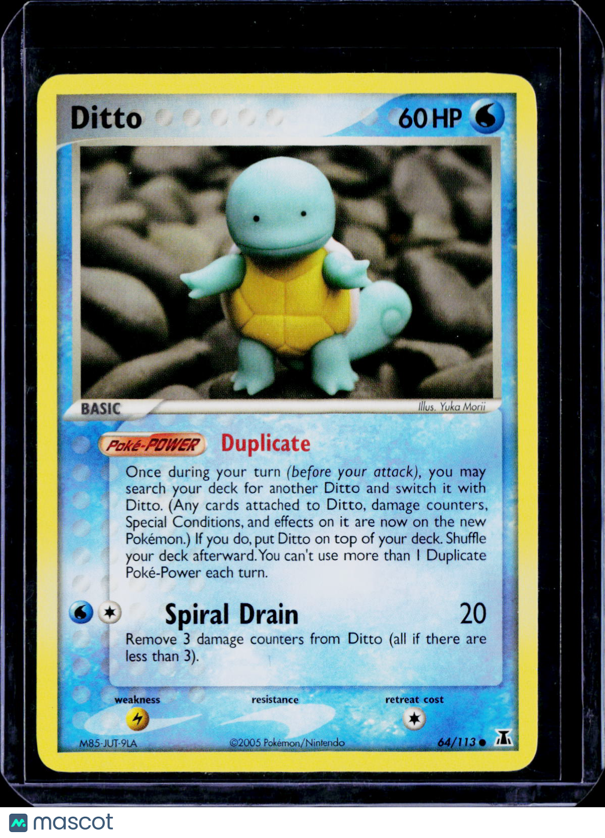 Ditto (Squirtle)