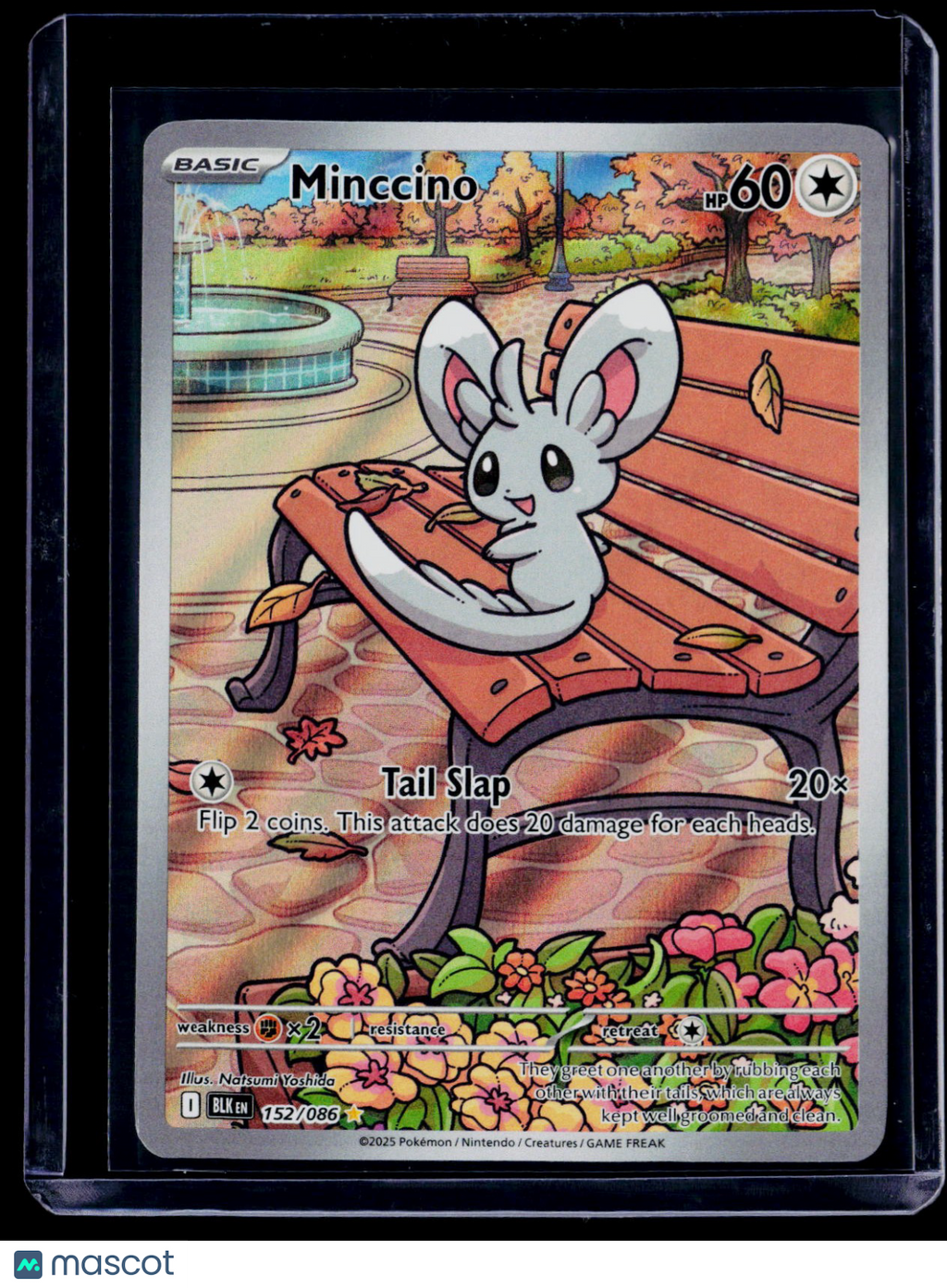 Pokemon Minccino 152 086