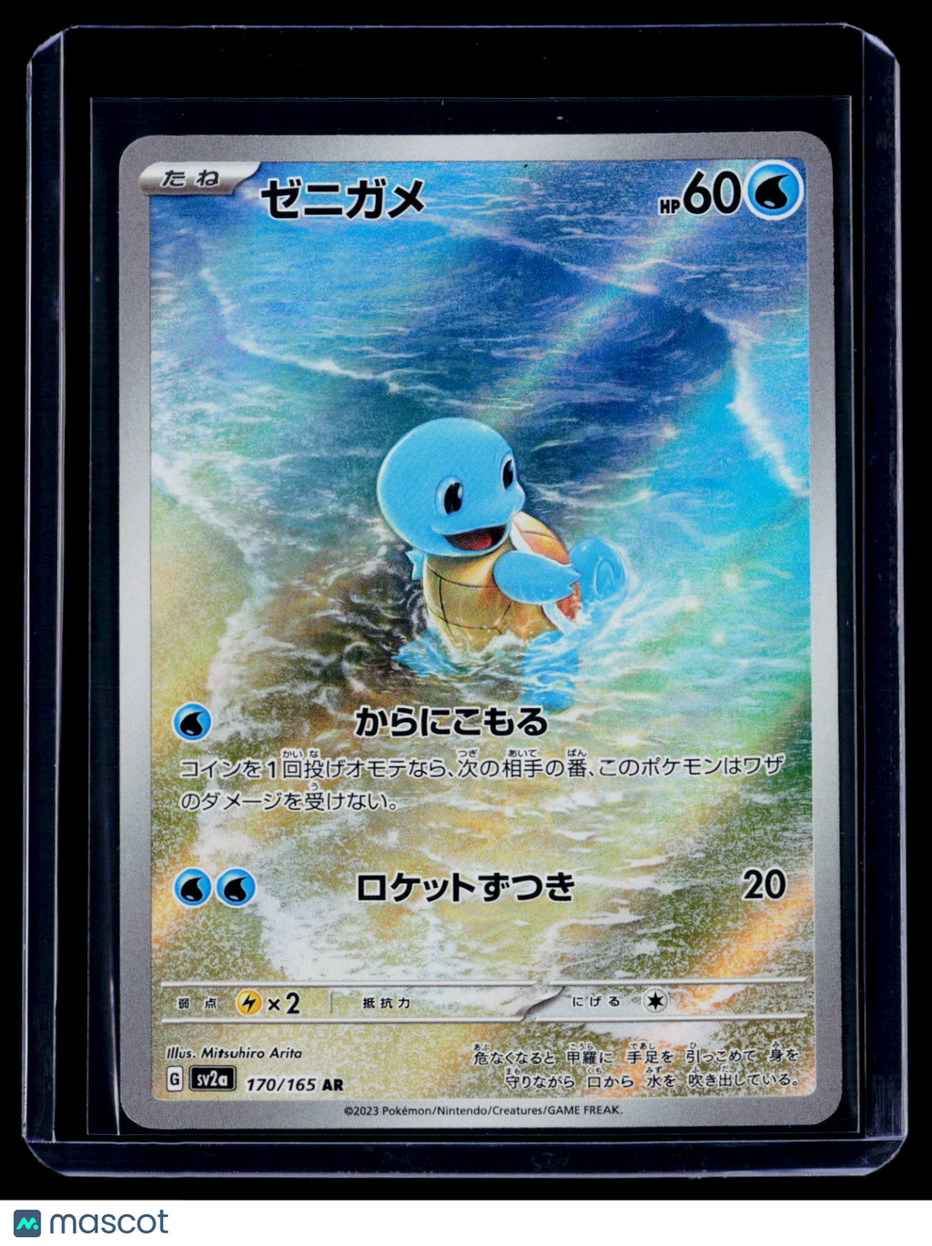 Pokemon Squirtle Japanese 170 165
