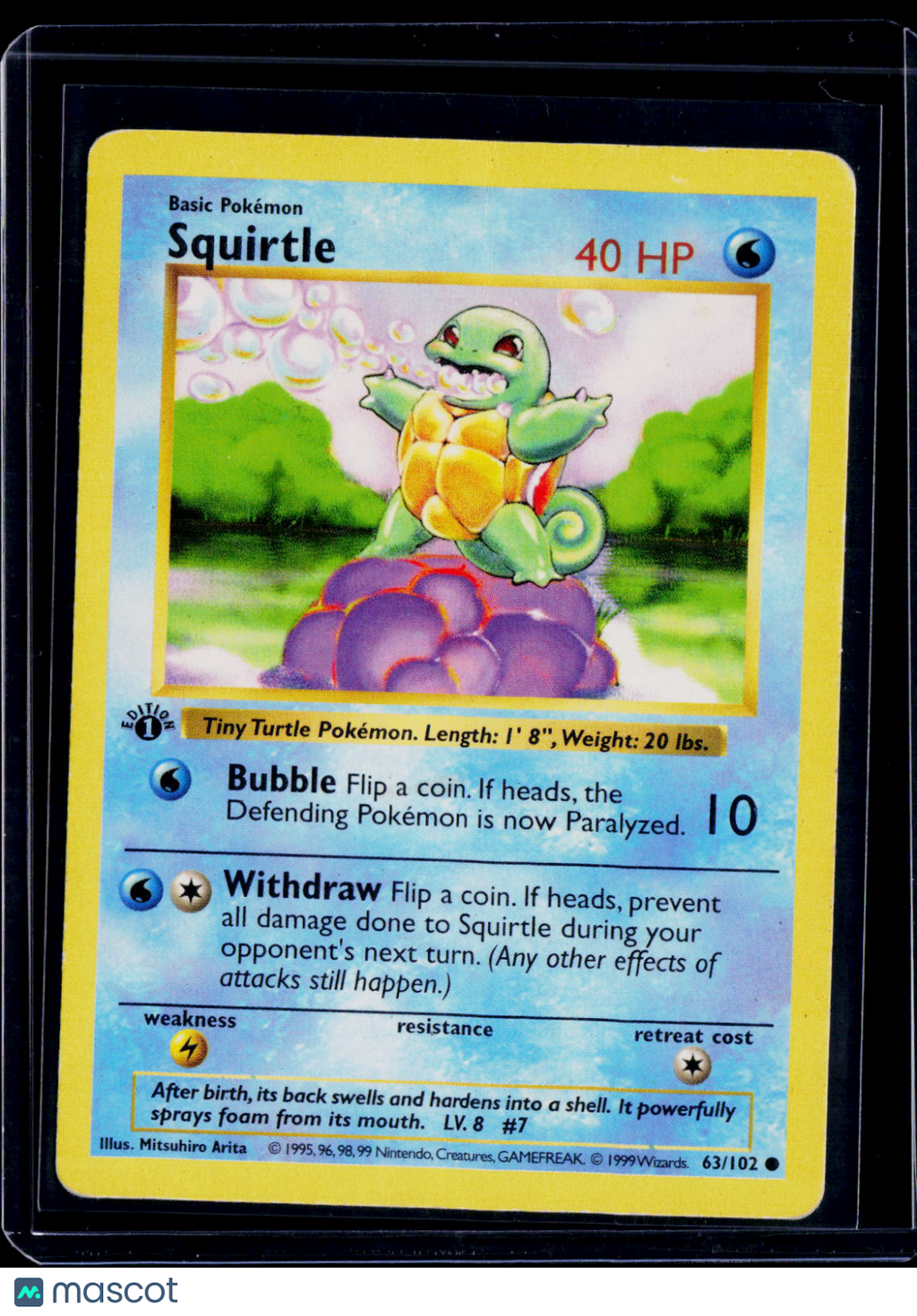 Squirtle 1st Edition