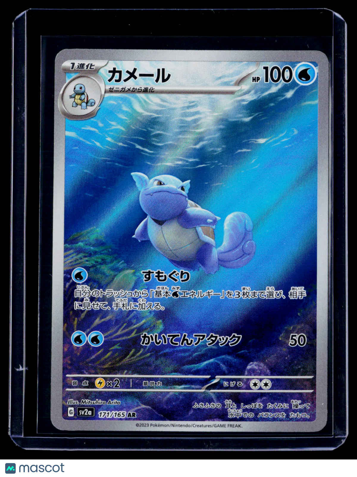 Pokemon Wartortle Japanese 171 165