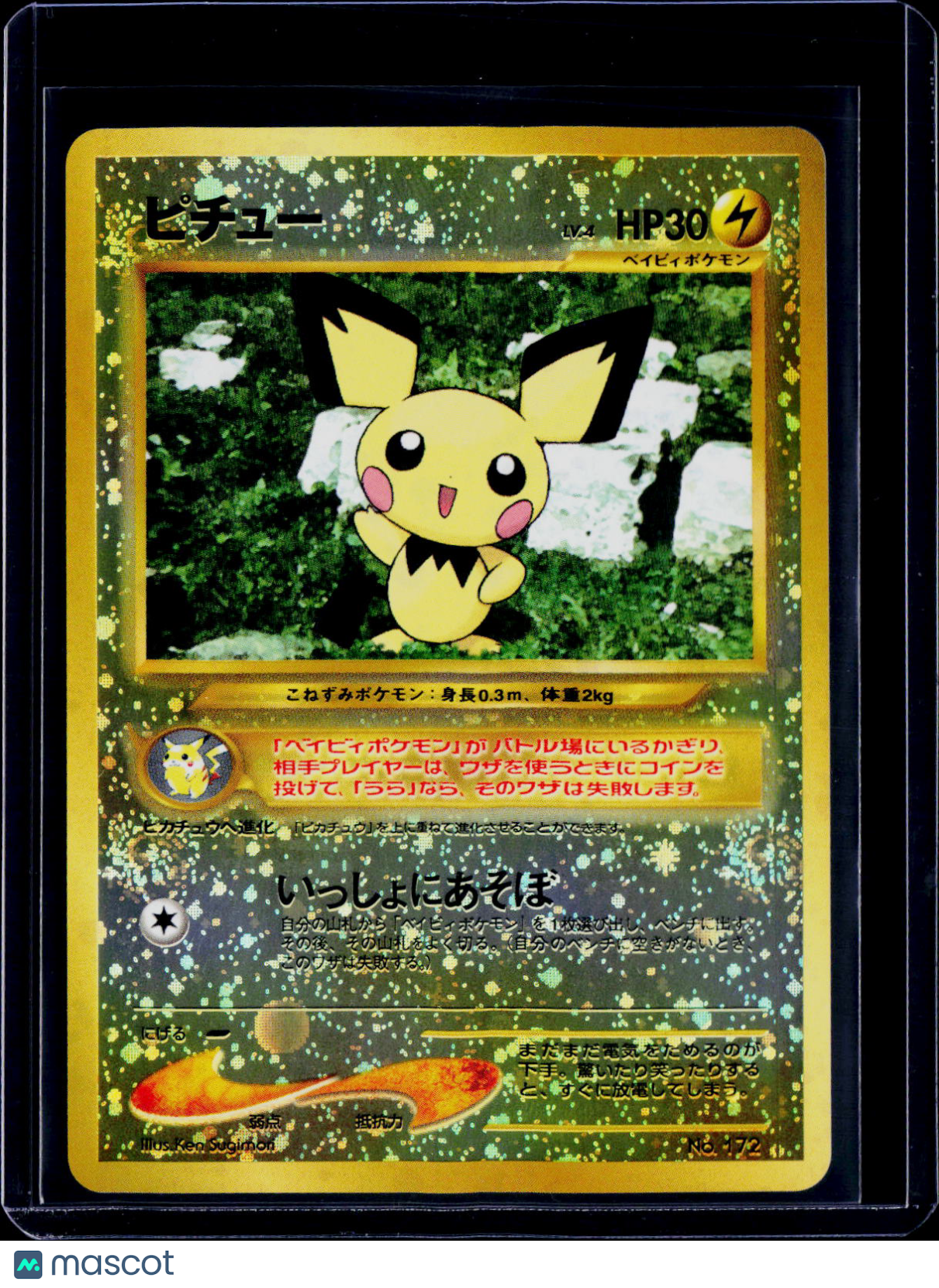 Pichu Neo Premium File 2 Holo Japanese