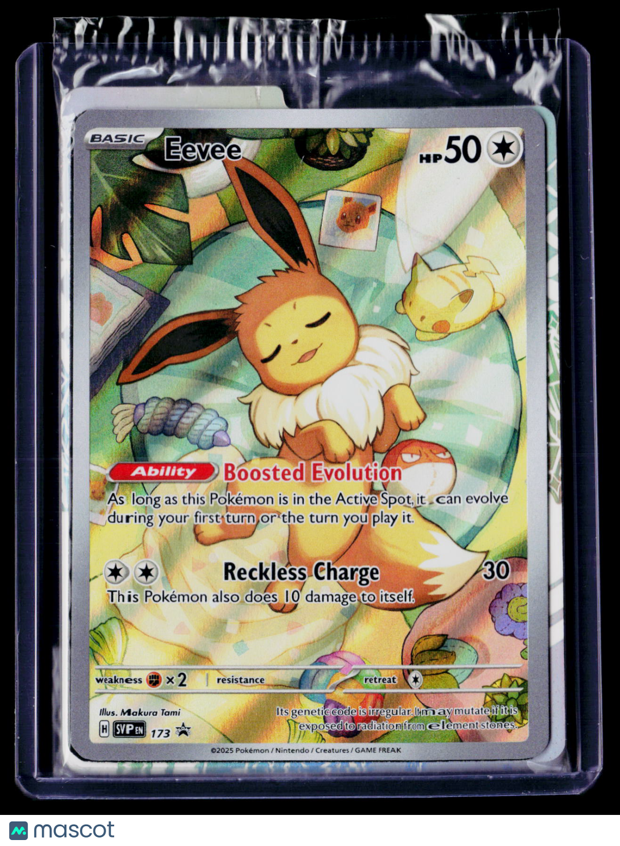 Pokemon Eevee 173 Promo