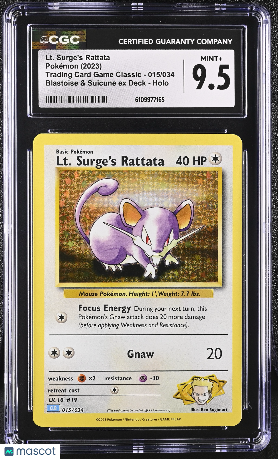 2023 Pokemon Lt. Surge's Rattata Blastoise & Suicune ex Deck Holo CGC 9.5