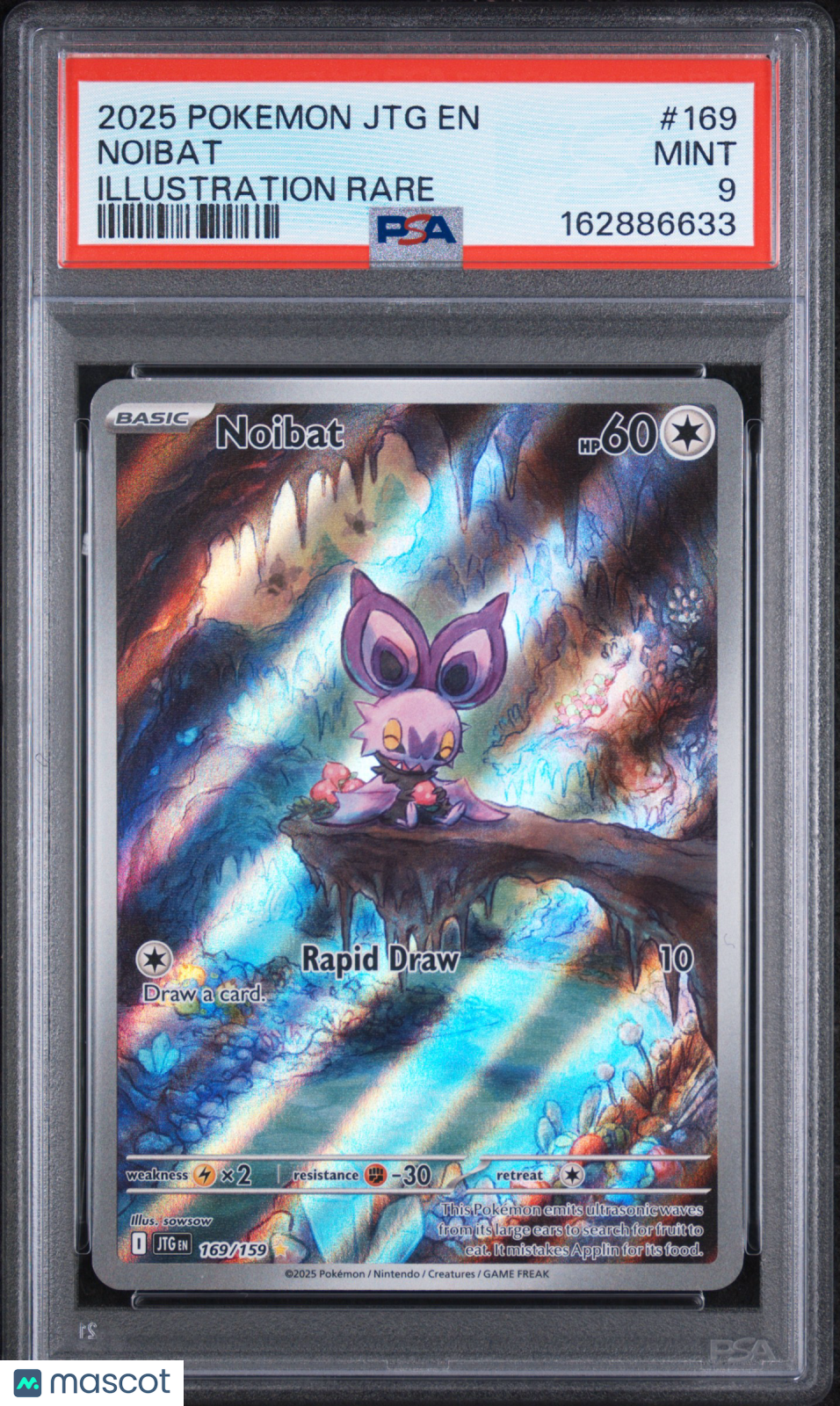 2025 Pokemon Journey Together Noibat Illustration Rare PSA 9