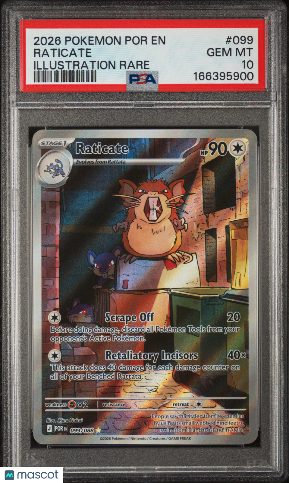 2026 Pokemon Perfect Order Raticate Illustration Rare PSA 10