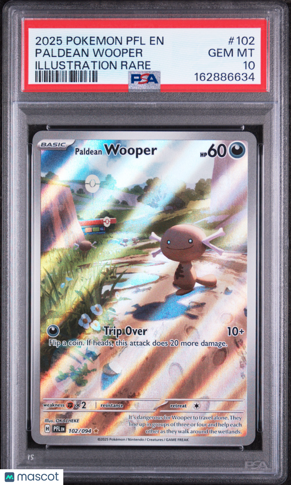 2025 Pokemon PFL Paldean Wooper Illustration Rare PSA 10