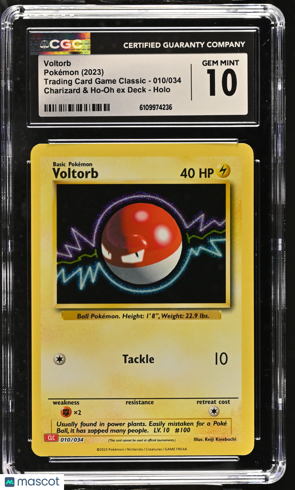 2023 Pokemon Voltorb Charizard & Ho-Oh ex Deck Holo CGC 10