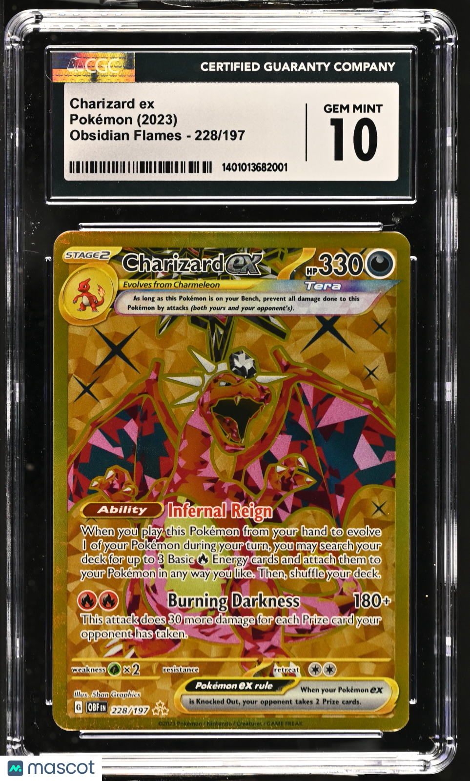 Pokemon Charizard ex 228 197