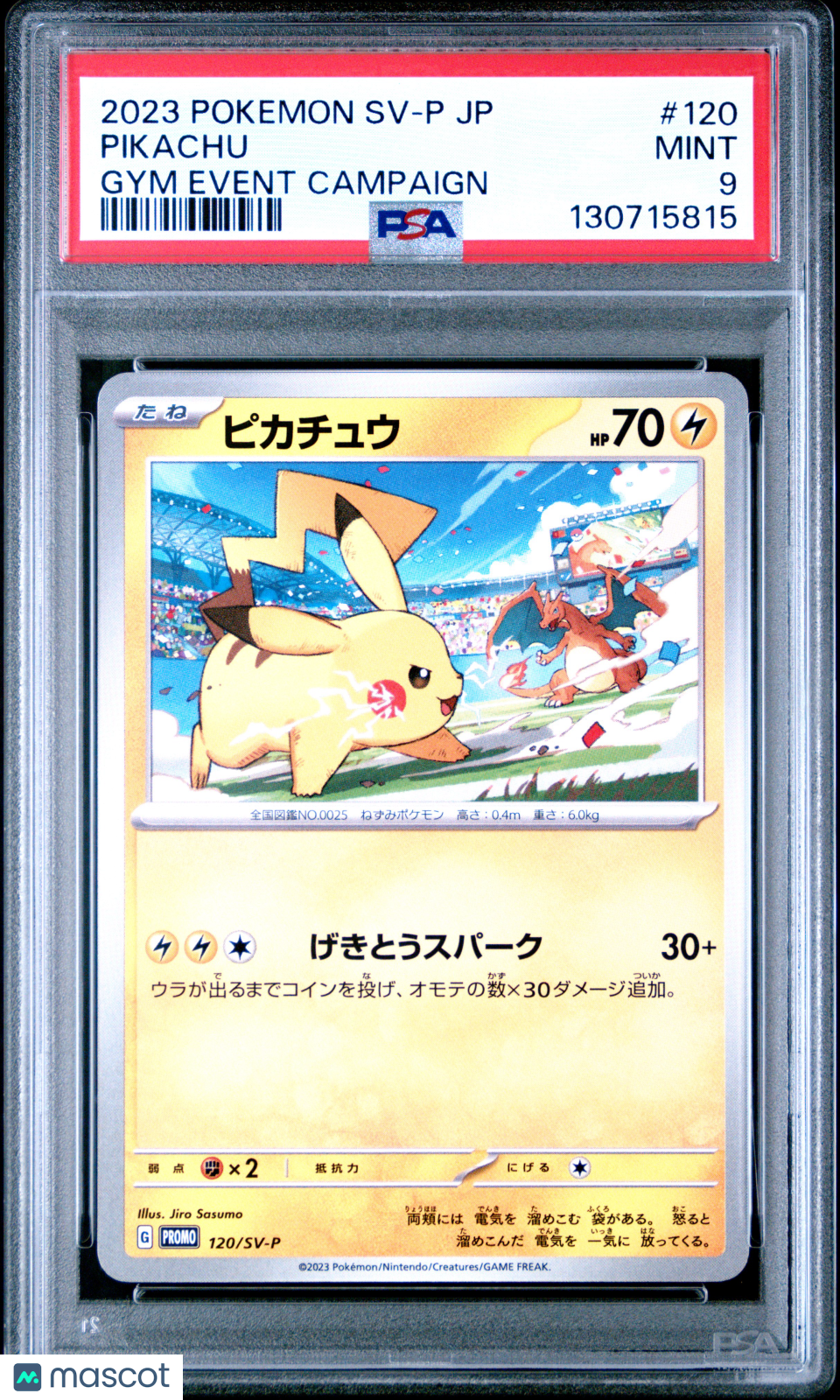 2023 Pokemon Pikachu Gym Event Campaign PSA 9