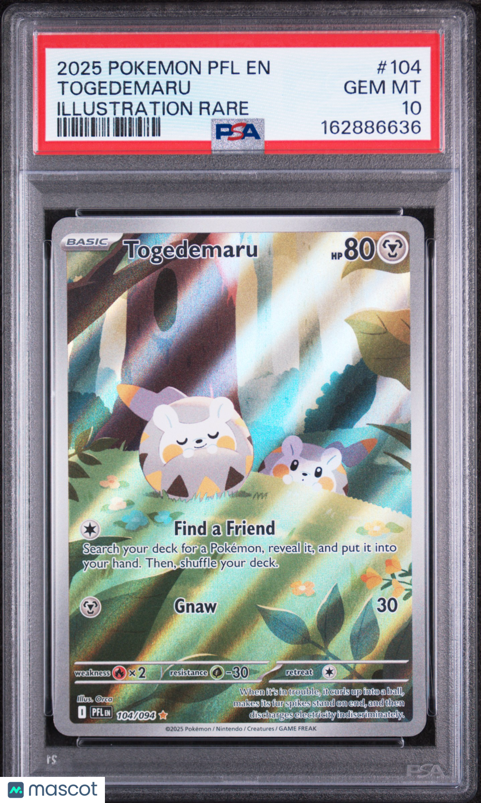 2025 Pokemon PFL Togedemaru Illustration Rare PSA 10